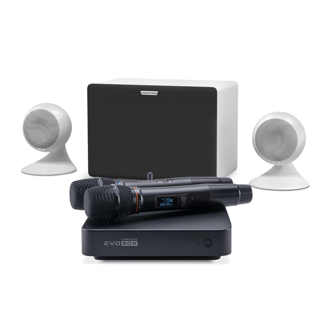 караоке-комплект EVOBOX Classic + EvoSound Sphere 2.1 в Темрюке