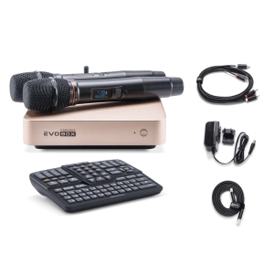 EVOBOX Classic караоке-система для дома в Темрюке
